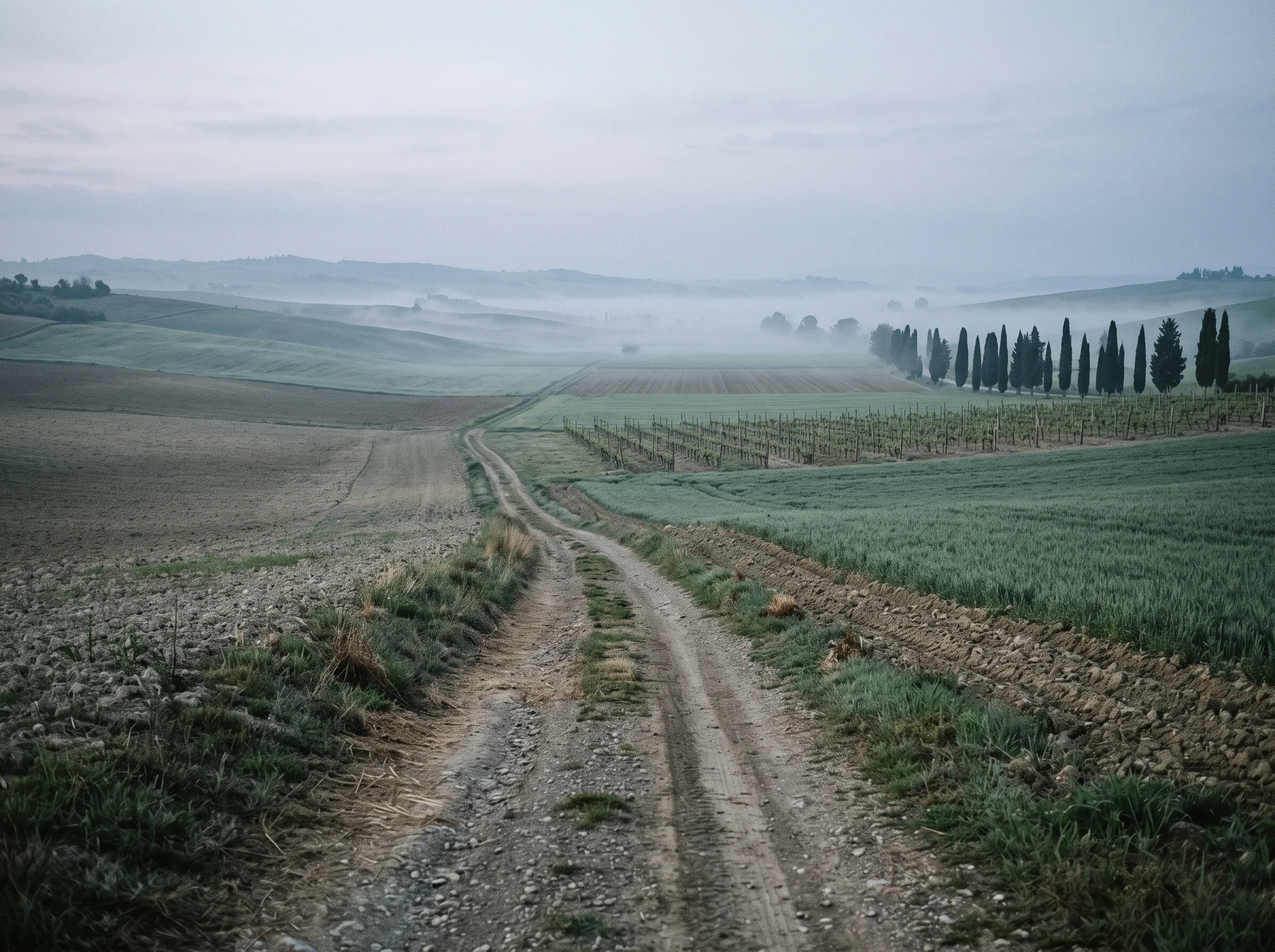Sentiero di campagna Toscana
